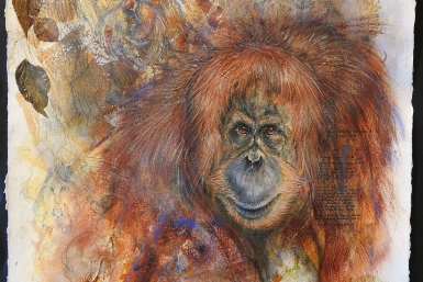 Sự kiện kỷ niệm 