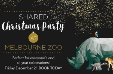 Tiệc Giáng Sinh tại Sở thú Melbourne