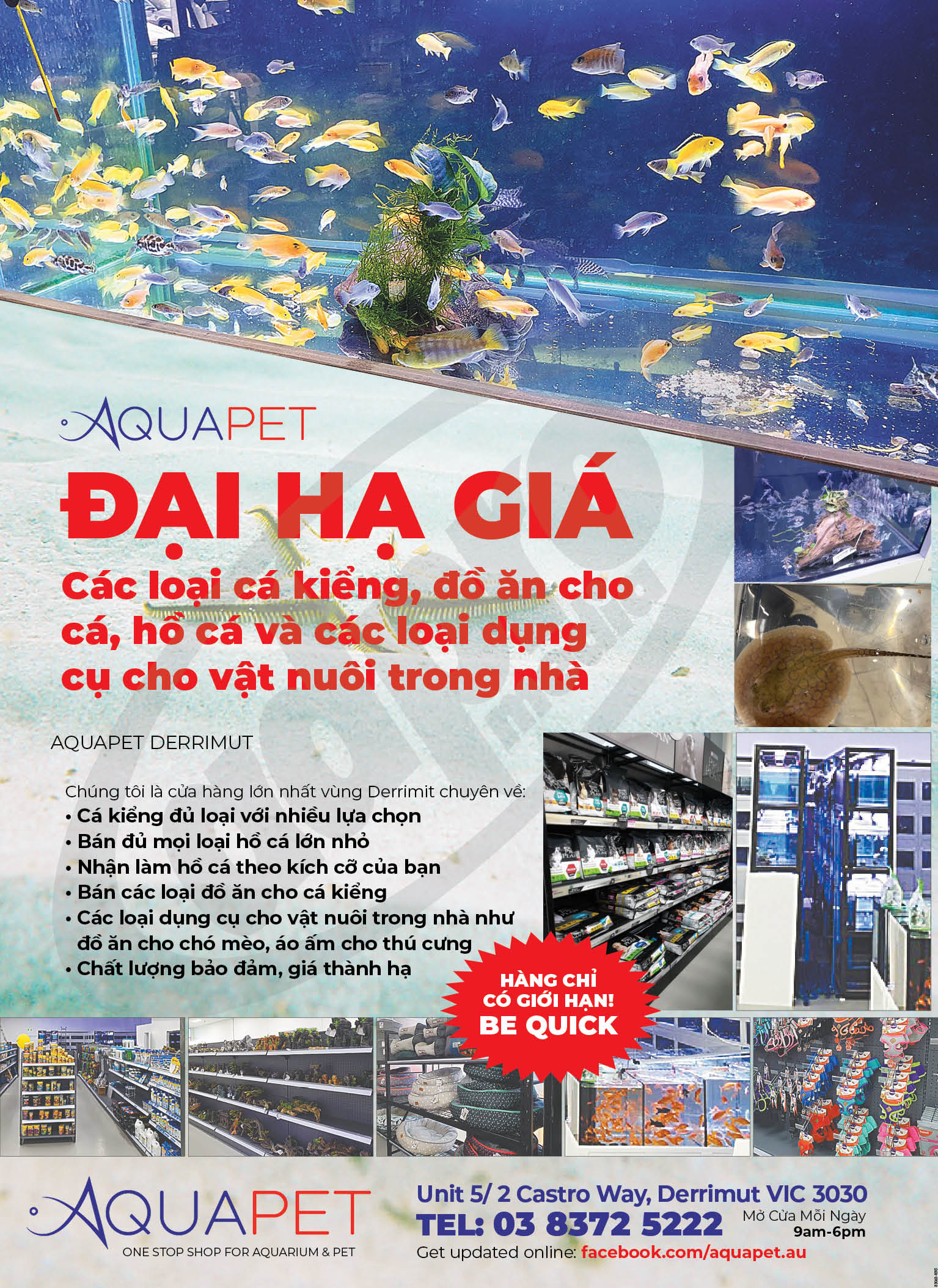 Tiệm Cá Cảnh AQUAPET