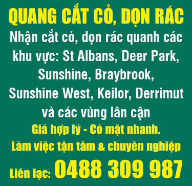 Quang Cắt Cỏ