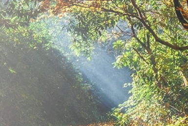 Tập thiền Ngũ hành Hiệp khí đạo