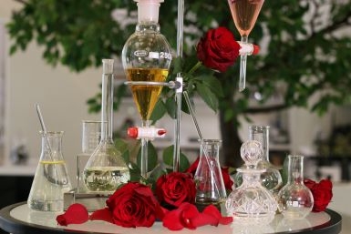 Triển lãm Hương Hoa Hồng tại Cửa hàng nước hoa Metascent
