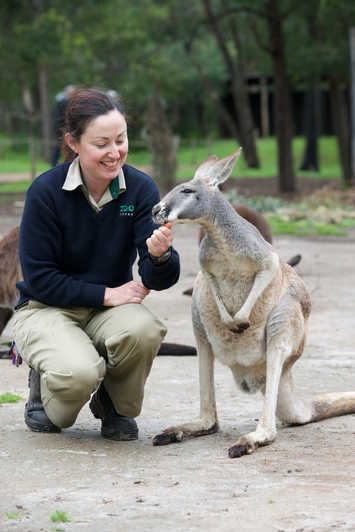 Trải nghiệm cuộc sống hoang dã tuyệt vời tại sở thú Melbourne